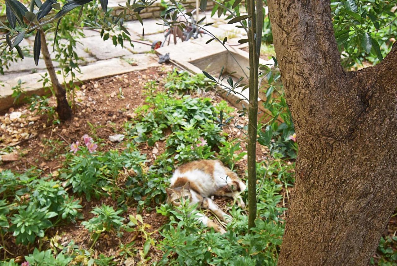 Villa Mediterranea - Apartments เมดูลิน ภายนอก รูปภาพ